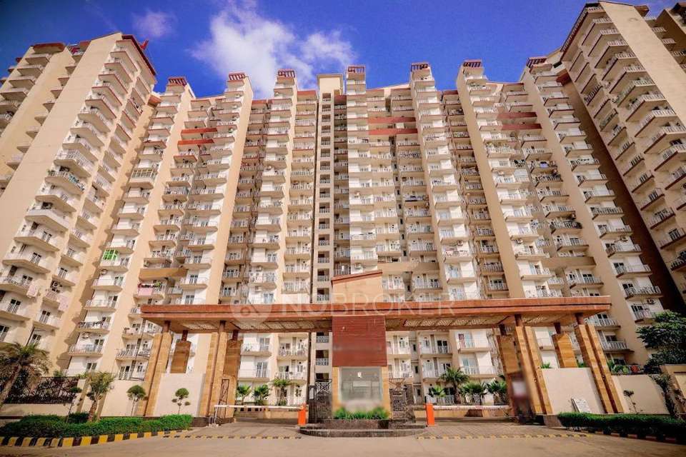 3 BHK Flat In Fusion Homes For Sale  In Tech Zone Iv, Amrapali Dream Valley, Greater Noida, Ithaira, Uttar Pradesh 201009, India