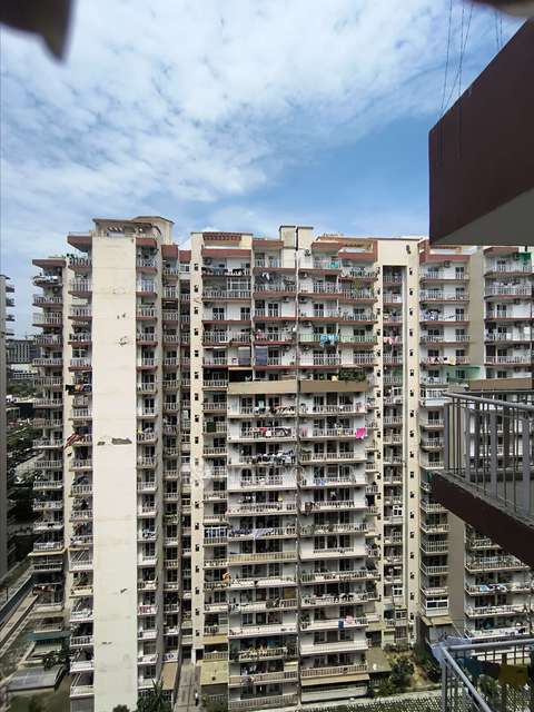 3 BHK Flat In Fusion Homes For Sale  In Tech Zone Iv, Amrapali Dream Valley, Greater Noida, Ithaira, Uttar Pradesh 201009, India