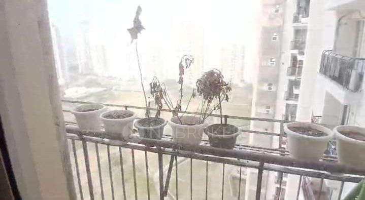 3 BHK Flat In Jaypee Aman For Sale  In Sector 151