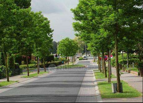 Plot For Sale  In Codename Yelahanka In Yelahanka