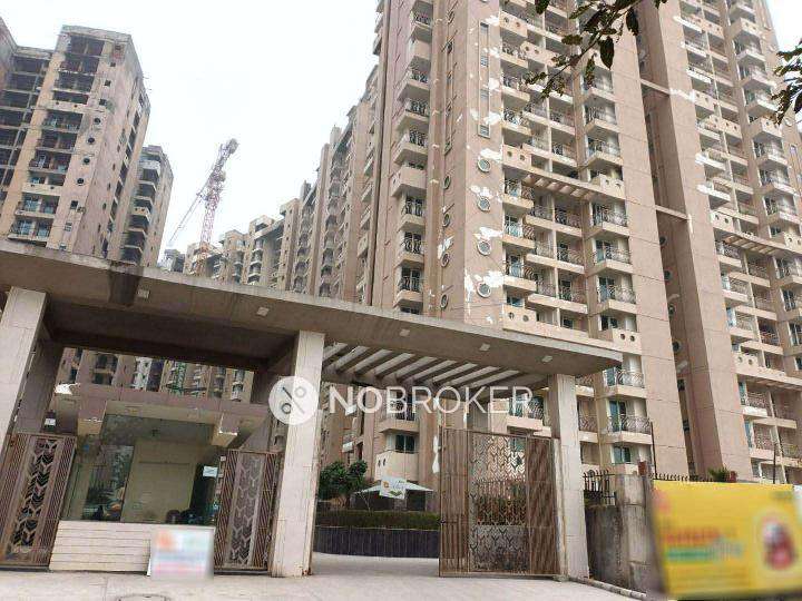 1 BHK Flat In Sikka Kaamna Greens For Sale  In  Sector 143