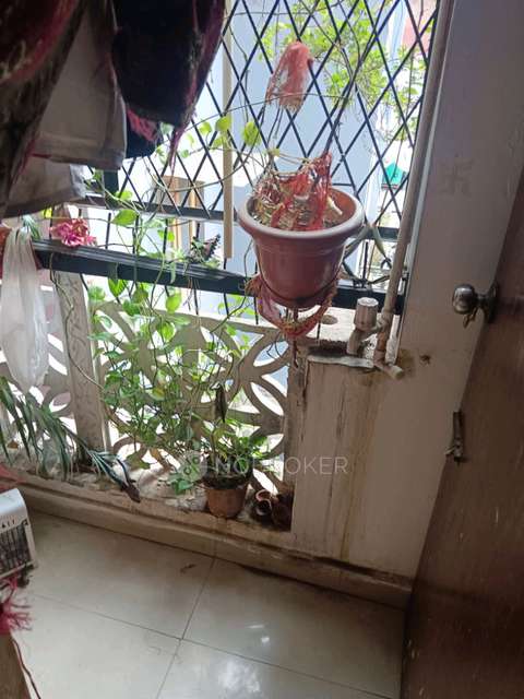 1 BHK Flat In Hari Niwas For Sale  In Mehrauli, Sarai