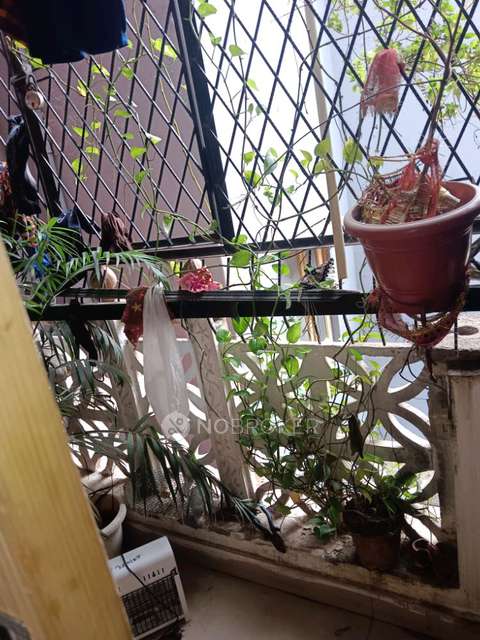 1 BHK Flat In Hari Niwas For Sale  In Mehrauli, Sarai