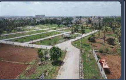 Plot For Sale  In Tavarekere