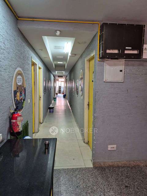 PG for Girls in South Moti Bagh New Delhi, Delhi 110