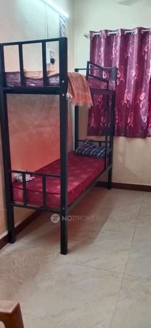 PG for Boys in Hp Nagar