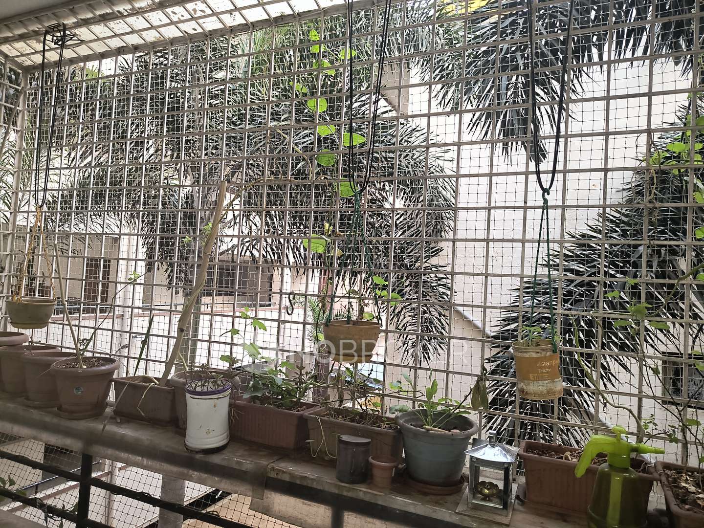 Sri Parvata Sharavathi