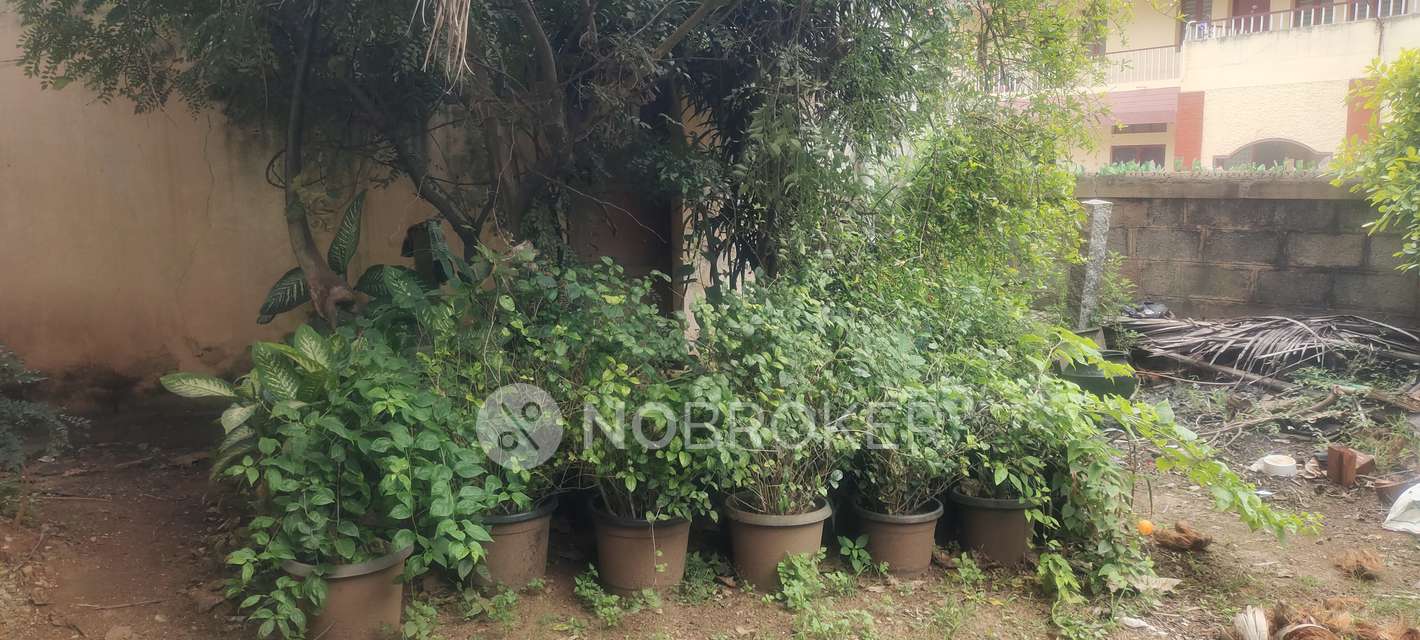 Plot For Sale  In Vidyaranyapura