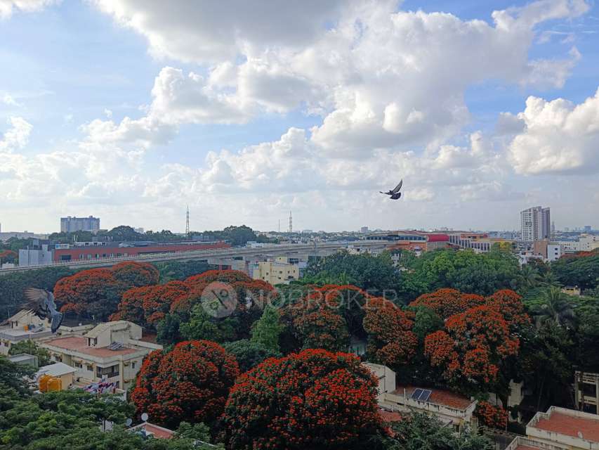 3 BHK Flat In Mantri Elegance For Sale  In Btm 2nd Stage