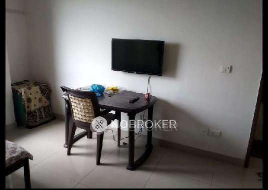 1 BHK Flat In Blue Ridge Unit D  for Rent  In Blue Ridge