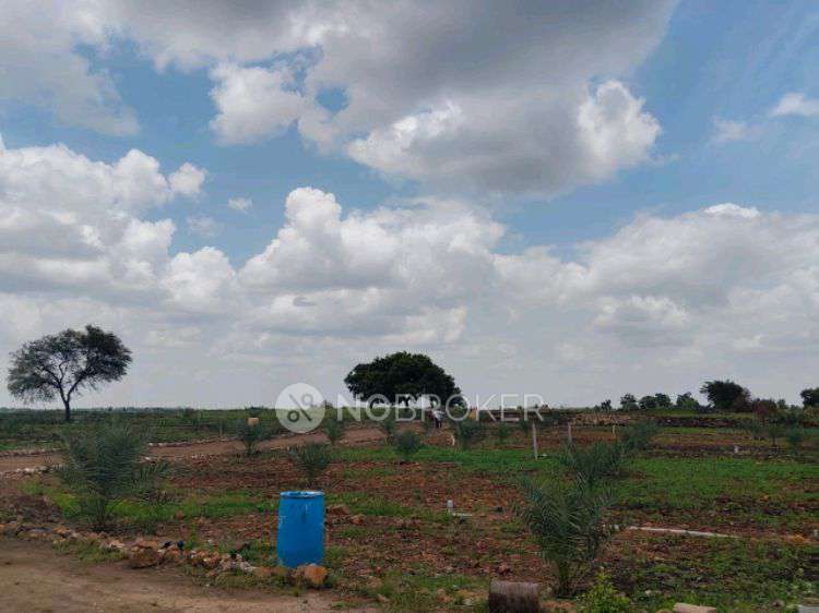 Plot For Sale  In Sampangi &#40;narayankheda Project&#41; In Sbi Nri Branch Jubilee Hills