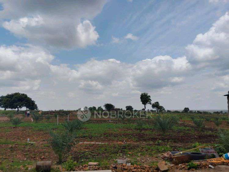 Plot For Sale  In Sampangi &#40;narayankheda Project&#41; In Sbi Nri Branch Jubilee Hills