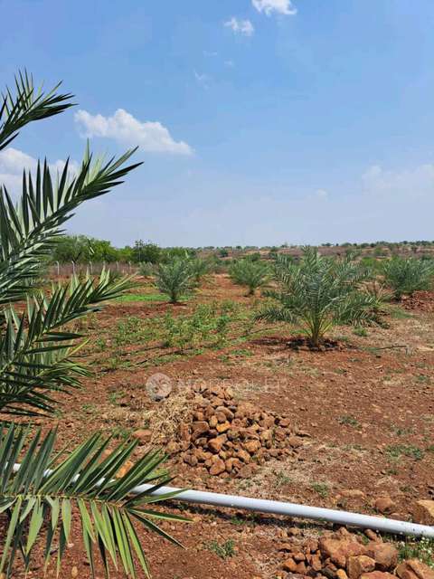 Plot For Sale  In Sampangi &#40;narayankheda Project&#41; In Sbi Nri Branch Jubilee Hills