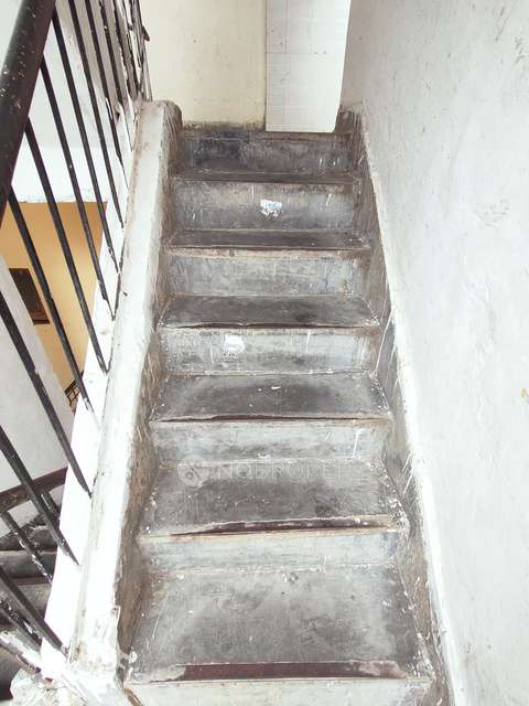 2 BHK Flat In Dda Flats For Sale  In Pitampura