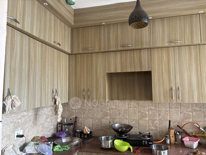 Single Room for Male In 2 BHK  In Amrapali Golf Homes In Sector 4