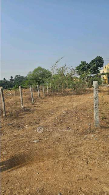 Plot For Sale  In Moranapalli