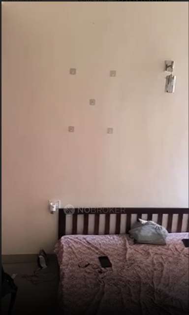 3 BHK Flat In Amrapali Zodiac For Sale  In Sector - 120