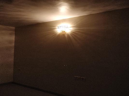 3 BHK Flat In Amar Courtyards for Rent  In Hadapsar