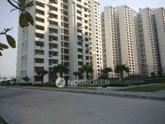 2 BHK Flat In 3c Lotus Zing For Sale  In Sector 168