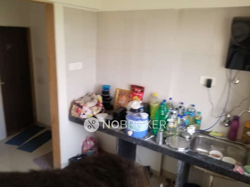 1 BHK Flat In Patel Elysium 1 For Sale  In Ambernath