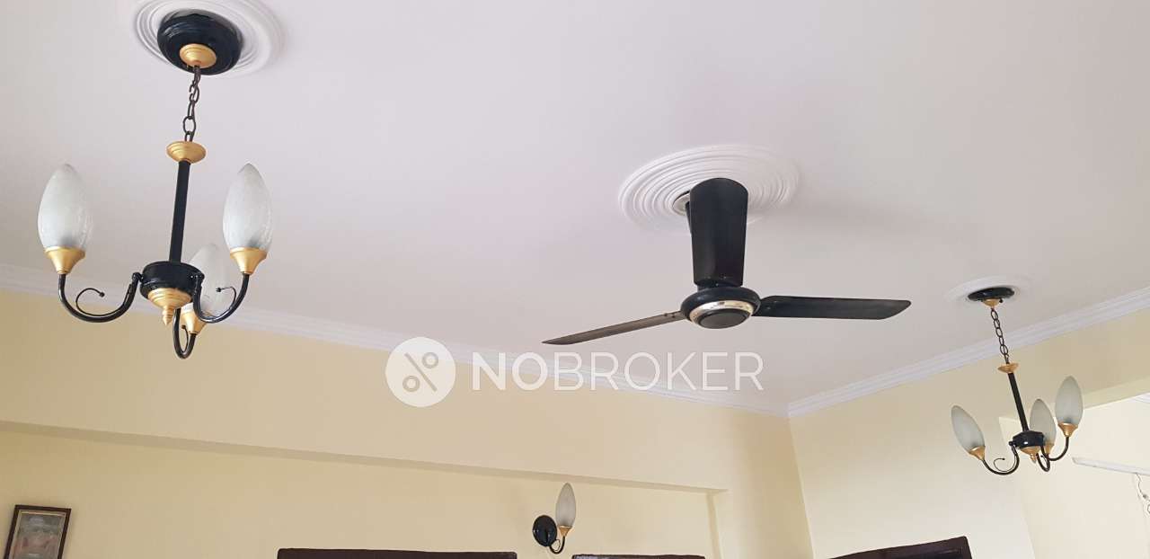 3 BHK Flat In Salora Vihar, Sector-62 for Rent  In Sector-62
