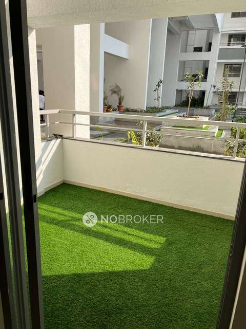 1 BHK Flat In Rohan Prathma Hinjewadi Phase 1 for Rent  In Rohan Prathama