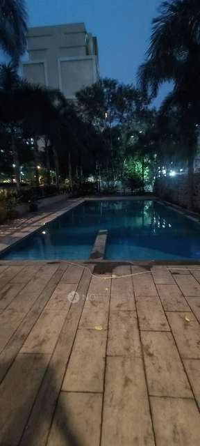 2 BHK Flat In Konark Orchid for Rent  In Wagholi