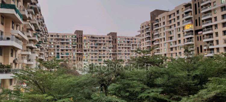 2 BHK Flat In Konark Orchid for Rent  In Wagholi