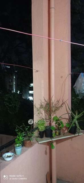 1 BHK Flat In Heliconia-2 for Rent  In Magarpatta