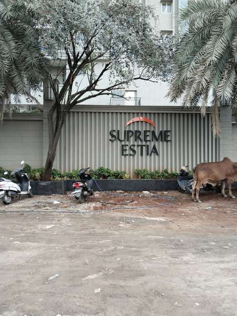 3 BHK Flat In Supreme Estia for Rent  In Baner