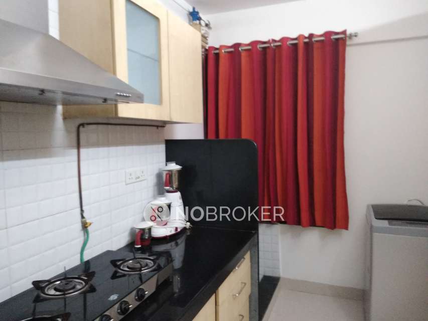 2 BHK Flat In Mangonest for Rent  In Nanded