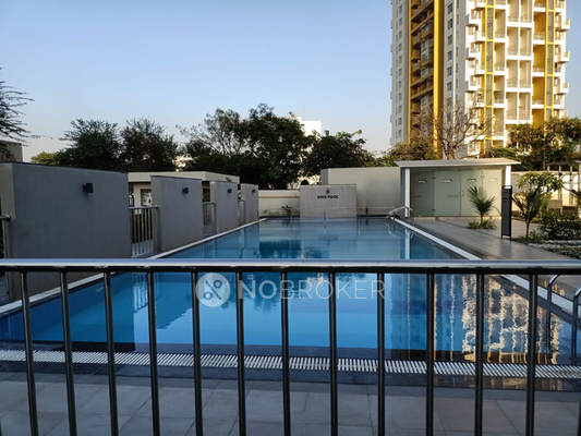 1 BHK Flat In Gera Adara, Hinjewadi for Rent  In Hinjewadi