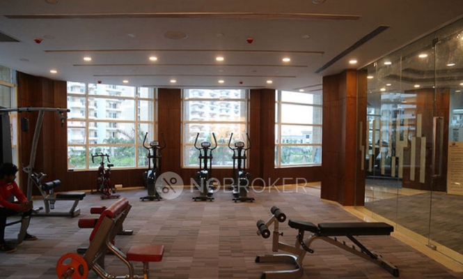 2 BHK Flat In Ace City for Rent  In Ace City Noida Extension