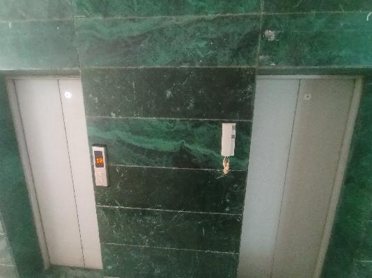 1 BHK Flat In Mantra Montana for Rent  In  Dhanori