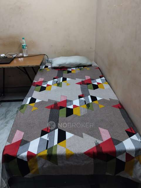 PG for Boys in Sector 19