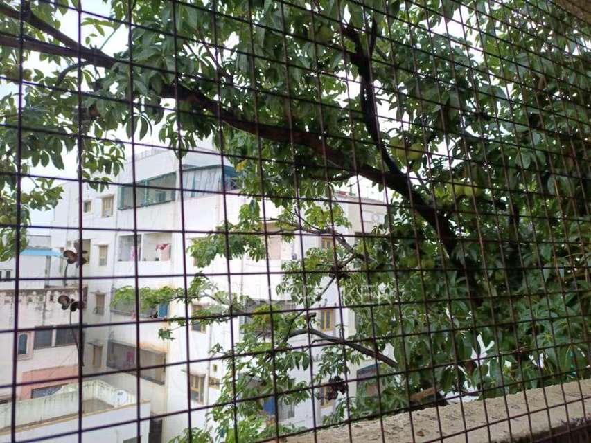 2 BHK Flat In Namra Apartments For Sale  In Yella Reddy Guda