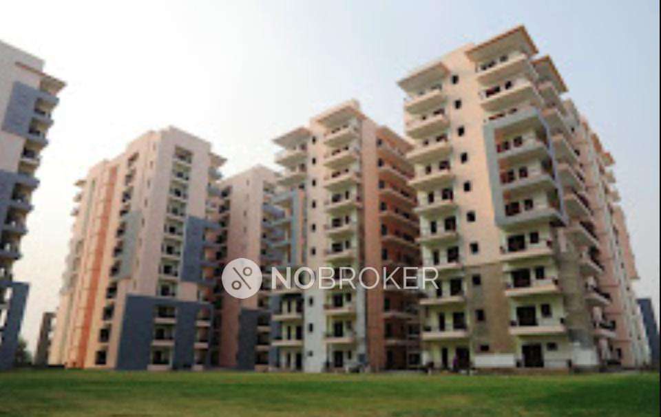 3 BHK Flat In Ninex City for Rent In Sector 76