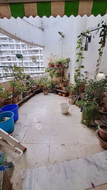 3 BHK Flat In Palazzo Apartments for Rent  In Balewadi