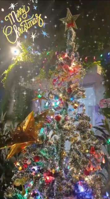 1 BHK Flat In Excellente Tower, Mulund For Sale  In Tower C, Excellente, 403, Dr Rajendra Prasad Rd, Nr. Bmc Colony, Opp. Chamunda Mata Mandir, Siddharth Nagar, Mulund West, Mumbai, Maharashtra 400080, India