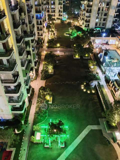 3 BHK Flat In Ats Greens 2, Sector 50 For Sale  In Sector 50