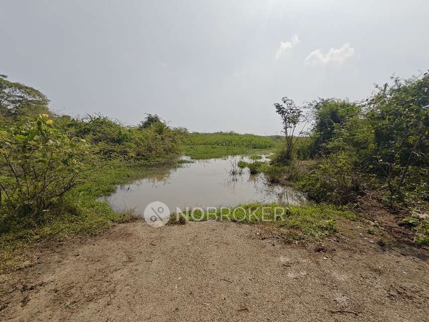 Plot For Sale  In Manali