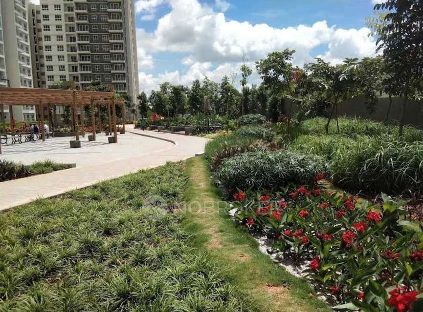 3 BHK Flat In Godrej Aqua For Sale  In Hosahalli