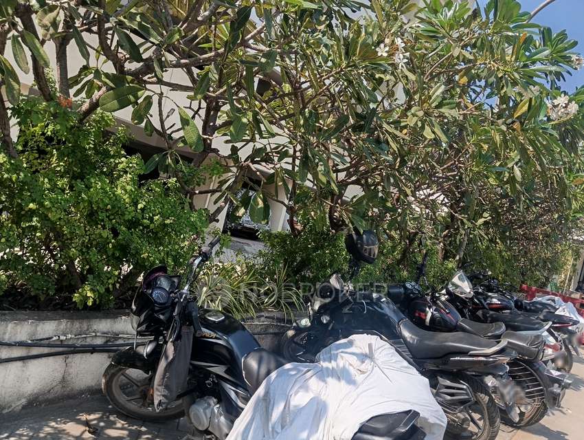 2 BHK Flat In Kolte Patil Green Olive For Sale  In Hinjawadi