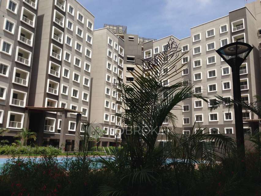 3 BHK Flat In Aspen At Brigade Orchards, Devanahalli for Rent  In Devanahalli