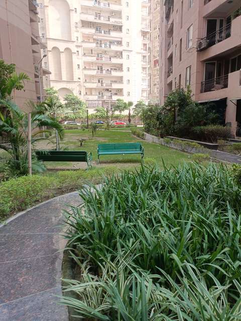 4 BHK Flat In Indosam75, Sector 75 For Sale  In Sector 75