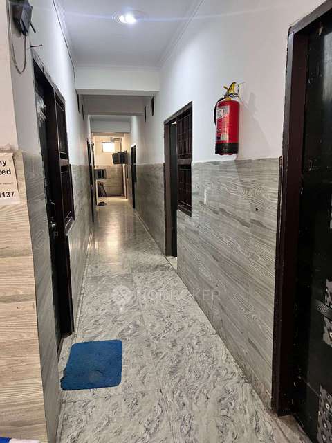 PG for Girls in Sector 126