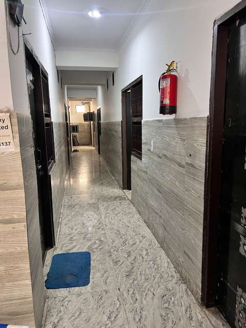 PG for Girls in Sector 126