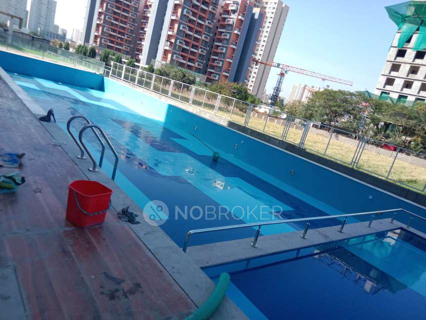 1 BHK Flat In Rohan Ananta  For Sale  In Tathawade