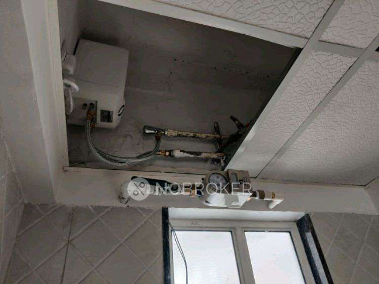 1 BHK Flat In Megapolis Springs, Hinjewadi for Rent  In Megapolis Springs