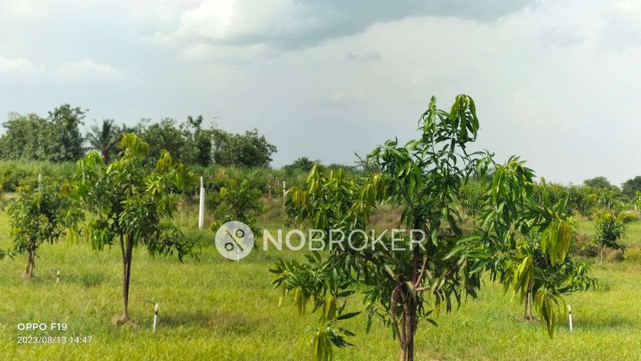 Plot For Sale  In Katchur